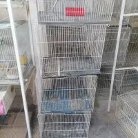 قفس قناری و..