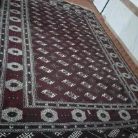 فرش دست بافت ترکمنی|فرش|بندر ترکمن, |دیوار