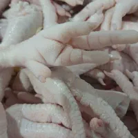 ضایعات پای مرغ|لوازم جانبی حیوانات|شلمان, |دیوار