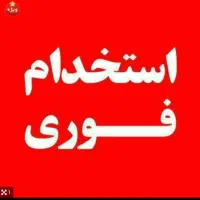 بازاریابی و ویزیتور فعال درآمد تصمینی