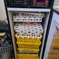 دستگاه جوجه کشی 210 مارک هدایت نوتمیز باهمه وسایل