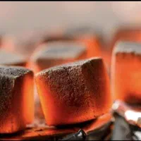 ذغال|عمدهفروشی|سیرجان, |دیوار