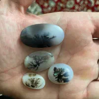 سنگ انگشتر شجر قائن کلکسیونی،عتیقه،باب طلا،معاوضه|جواهرات|تهران, تهرانسر شرقی|دیوار