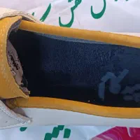 ۵جفت کفش سایز ۳۹ و۳۸ یک جفت دمپایی|کیف، کفش، کمربند|قم, چهار مردان|دیوار