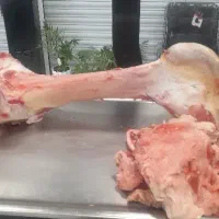 پاچه،قلم و سیرابی گوساله|خوردنی و آشامیدنی|نجفآباد, شریعتی غربی|دیوار