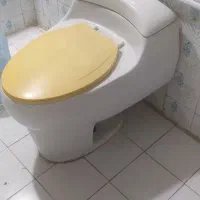 توالت فرنگی توافقی