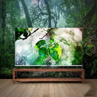 تلویوزیون نکسار|تلویزیون و پروژکتور|بوشهر, |دیوار