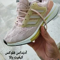 تعدادی کتونی تاناکورا سایزهاش توعکس نوشته شده|کیف، کفش، کمربند|اردبیل, |دیوار