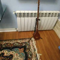 سه تار مهر دار|سازهای سنتی|هشتگرد, فاز ۱ مهستان|دیوار