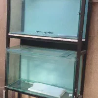 آکواریوم دو طبقه