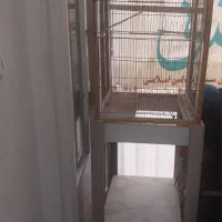 قفس با میز