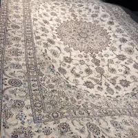 جفت۹متری نائین کرم گل ابریشم