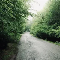 زمین سوادکوه در مهد جنگل های هیر.کانی توریستی