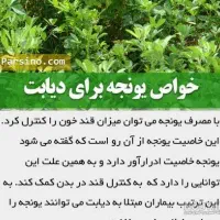 ۸جوانه|خوردنی و آشامیدنی|مشهد, شهرک امام سجاد|دیوار