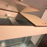 اکواریوم|ماهی|رشت, فلسطین|دیوار