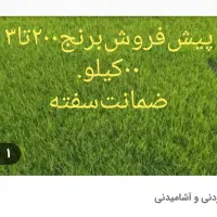اسباب‌بازی|اسباب‌‌بازی|دورود, |دیوار