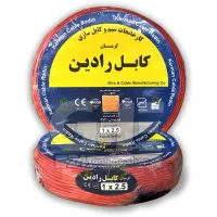 سیم رادین کرمان