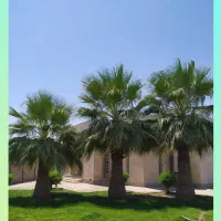 پلاک-ویلاشهر-سنددار-اماده-ساخت