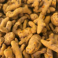 زردچوبه قلم پاکستانی وارداتی عمده،تنی۶۰۰ملیون تومن