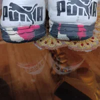 کفش سالنی پوما اصلی مفت و، تخفیف ویژه ،