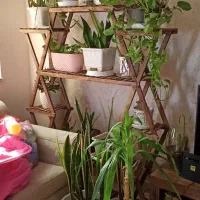 گل و جا گلدانی