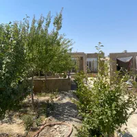 باغچه ۵۰۰متری در کاهو داخل مجتمع نگهبانی آب برق|فروش زمین و ملک کلنگی|مشهد, تربیت (صدف)|دیوار