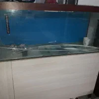 آکواریوم یک متری