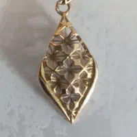 گم شدن گوش واره