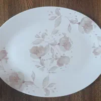 سرویس آرکوپال (زنبق صورتی)