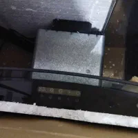 هود|هود|شهرکرد, |دیوار