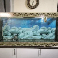 اکواریوم 1.5 متری