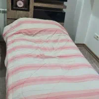 تخت تک نفره|تخت و سرویس خواب|تهران, باغ فیض|دیوار