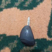 طلا پیدا شده