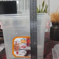 جابرنجی یا جانونی