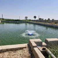 فروش ۵۰۰۰ متری