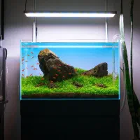 طراحی و ساخت آکواریوم پلنت حرفه ای