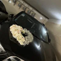 ماشین عروس و انواع باکس گل|گل و گیاه طبیعی|تهران, افسریه شمالی|دیوار