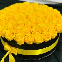گل ماندگار|گل مصنوعی|قم, آذر (نکویی)|دیوار