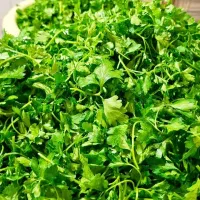 سبزی قرمه و ترش واش گیلانی بادنجان گردو پیاز سرخ