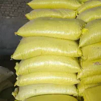 گندم دیم آذر 2 بوجاری شده|عمدهفروشی|فریمان, |دیوار