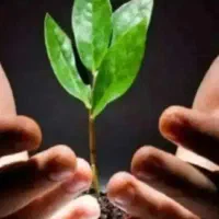 ترک اعتیاد بدون درد وخماری|خدمات آرایشگری و زیبایی|رفسنجان, |دیوار