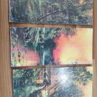 کلکسیون.دو عدد تابلو باهم 200