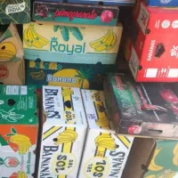 کارتن موز سالم و تمیز