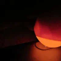 تخم مرغ نطفه