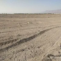 زمین|فروش زمین و ملک کلنگی|میرجاوه, |دیوار