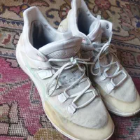 کفش|کیف، کفش، کمربند|مراغه, |دیوار