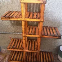 استند گل و گل موسی در گهواره