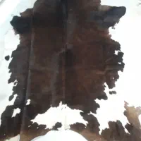 پوست گاو ۱۷۰ * ۱۵۰