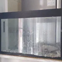 اکواریوم