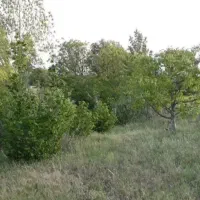 ویلایی-در-بارانلو
